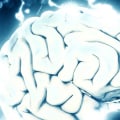 Understanding Addiction: How Does It Work in the Brain?