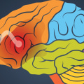 The Brain Behind Addiction: An Expert's Perspective
